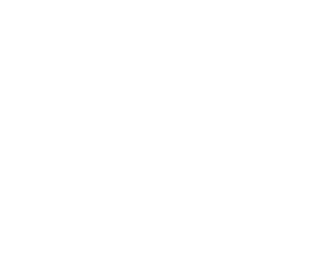 Hairmony Logo Footer White
